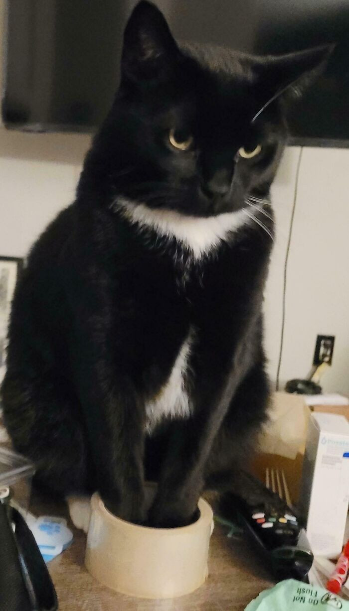 This roll of tape is deceptively large