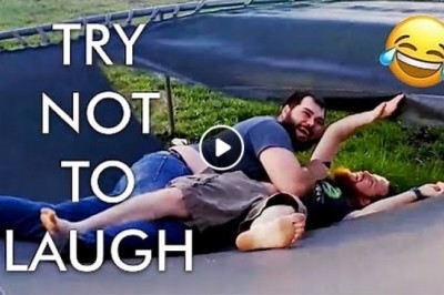 Laughing with the Animal Kingdom: Hilarious Encounters with Nature's Comedians