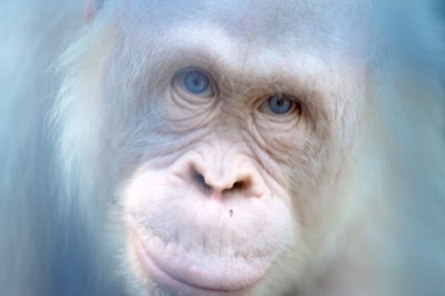 Inspiring Transformation: Alba's Journey to Strength and Freedom