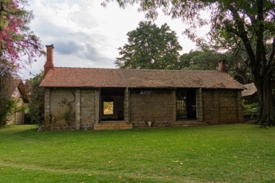 From Wanderlust to Wildlife Warriors: A Journey of Adventure and Conservation