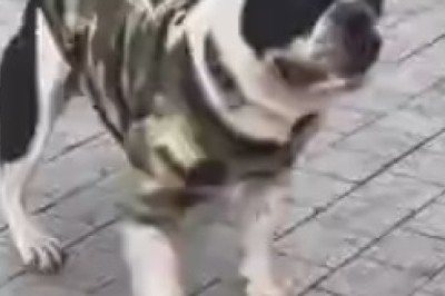 Laughs Galore: A Hilarious Compilation of Rib-Tickling Comedy