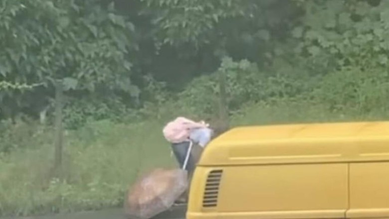 Heartwarming Act of Kindness: Girl Protects Injured Dog from Rain on Her Way Home from School