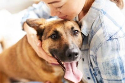 Pet Owners Provide Greater Care for Dogs than Cats, Study Finds