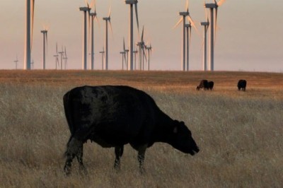 Red Meat Prices Skyrocket in the United States Due to Beef Shortage