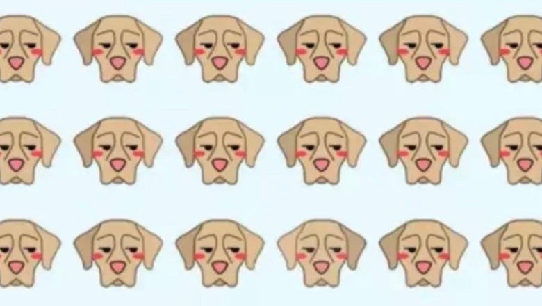 Visual Puzzle Challenge: Can You Spot the Different Dog in Less Than 8 Seconds?