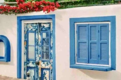 The Camouflaged Cat Challenge: Can You Find the Feline Hidden in Plain Sight?