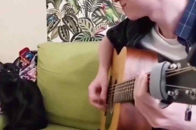 This Talented Cat Sings the Blues and Wins the Internet's Heart