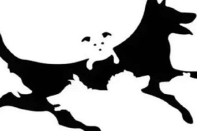 Unlock Your Mental Age: How Many Dogs Can You Spot in This Picture?