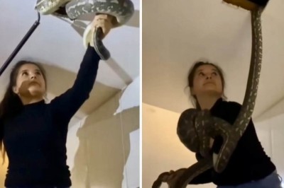Fearless Woman's Incredible Encounter: Capturing Two Giant Snakes on House Ceiling