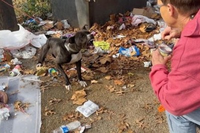 A Tale of Resilience: Snapple's Journey from Abandonment to Trust