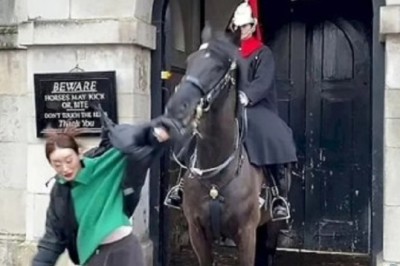 Hilarious Chaos Unleashed: Royal Guard Stallion Photobomb Goes Wild!