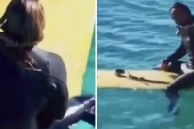 Man Fined $1,500 for Taking Pet Snake Surfing - The Shocking Video Goes Viral