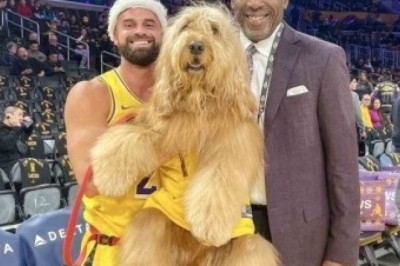 Meet Brodie, the Millionaire Dancing Dog Taking Social Media by Storm