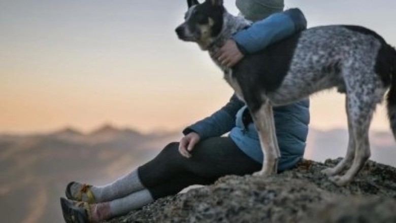 Pawsome Tales: Unbreakable Bonds Between Humans and Their Extraordinary Pets