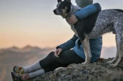 Pawsome Tales: Unbreakable Bonds Between Humans and Their Extraordinary Pets