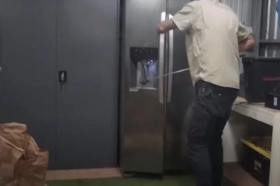 Epic Encounter: Red-Bellied Black Snake Gets Trapped in Australian Fridge!