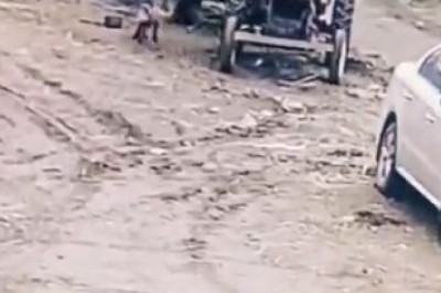 Unleashing Hilarious Chaos: Watch How a Dog Steals the Show and Makes a Plow Tractor with a Car!