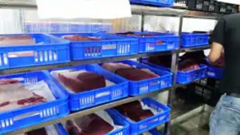 Unveiling the Secrets of Donggan Fish Market: A Seafood Lover's Paradise!