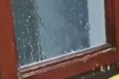 Side-Splitting Shenanigans: Hilarious Compilation of Pets Taking Over the World of Laughter!