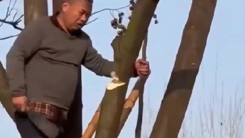 When Things Went a Little Wrong: The Tale of the Tree Climber