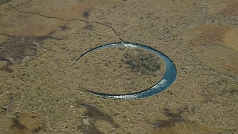 Unraveling the Enigma: The Mysterious Circle in the Swamps of Argentina