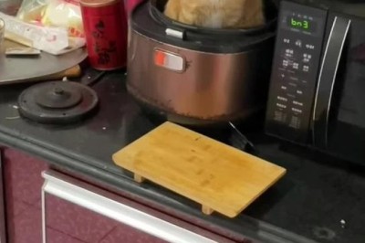 Hot Pursuit: The Hilarious Hide-and-Seek of a Cat in a Heater