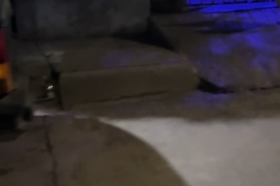 Rooster Rampage: Revenge of the Feathers