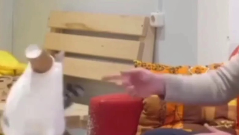 Cat's Hilarious Cup Mishap Steals the Show During Live Interview