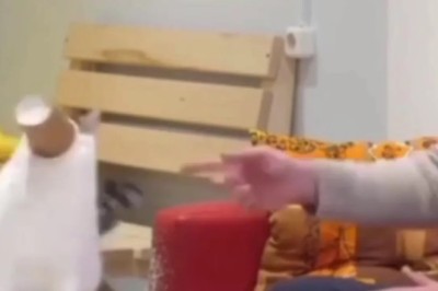 Cat's Hilarious Cup Mishap Steals the Show During Live Interview