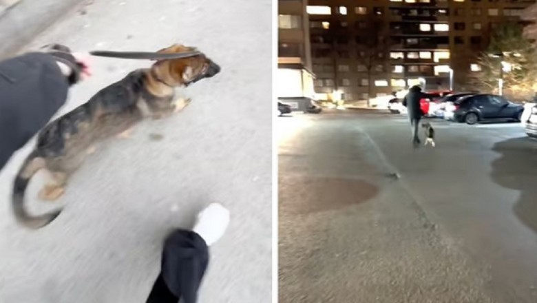 Heartbreak and Resilience: The Unforgettable Night that Changed Everything