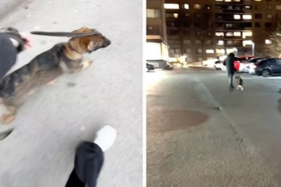 Heartbreak and Resilience: The Unforgettable Night that Changed Everything