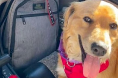 Unexpected Discoveries: Connie's Surprise Pregnancy Captivates Hearts Around the World