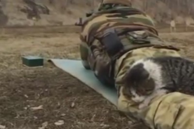CAT-astrophe Alert! 😹🚨 Watch This Hilarious Cat React to Soldier Training Sounds!