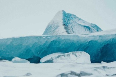 Inspirational Tale of Survival: A Beacon of Hope Amidst Nature's Fury