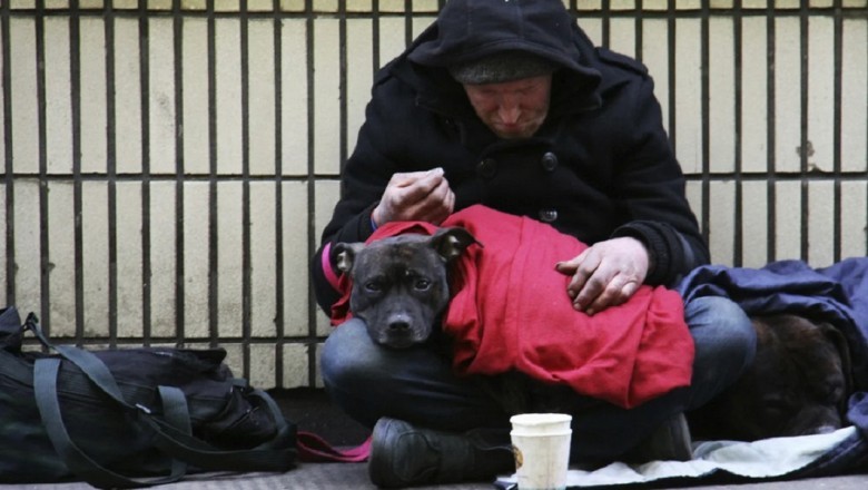Pawsitive Impact: How Pets Bring Hope &amp; Healing to Homeless Hearts