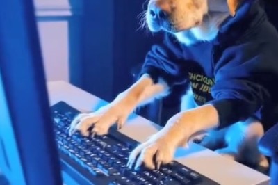 Paws for Applause: Dog Shows Off Lightning-Fast Typing Skills on Computer Keyboard!