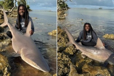 Fearless Florida Fisherman Goes Head-to-Head with Sharks - You Won't Believe What Happens Next!