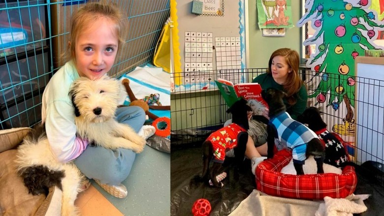 Fostering Learning and Joy: The Impact of Puppies in American Schools