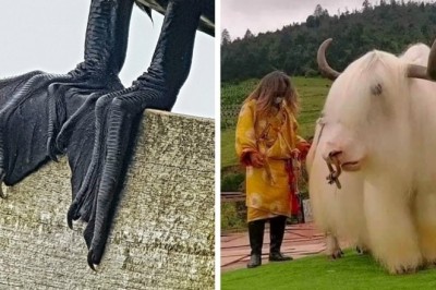 Captivating Natural Phenomena: 15 Photos That Will Leave You in Awe