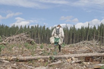 Unveiling the Heart-Wrenching Tale of Rescuing a Trapped Leopard