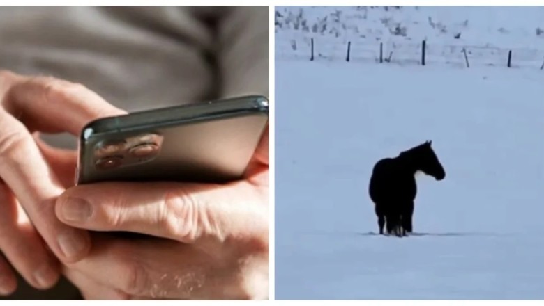 Beware: How a Pensioner Was Duped of 1.5 Million Pesos Through a Cryptocurrency Scam!