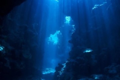 Unveiling the Hidden Wonders of the Mysterious Deep-Sea Realms