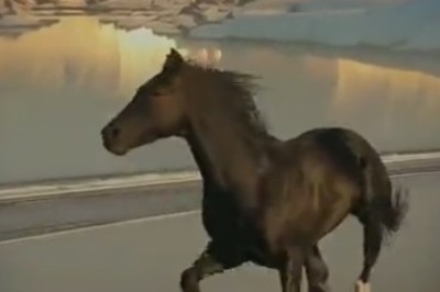 Gallop and Giggle: Horsing Around with Horse Power on Sandy Shores!