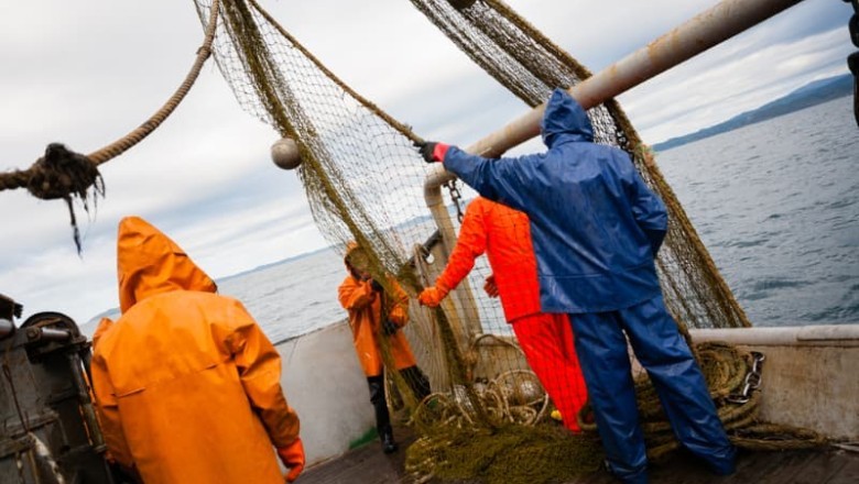 Unbelievable Discovery: Fishermen Catch Ancient Creature Thought to be Extinct!