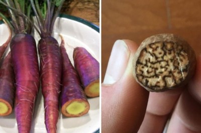 16 Mind-Blowing Food Facts That Will Change How You See Your Meals!