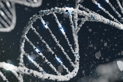 Heartbreaking Discovery: 71-Year-Old Adopted Man Finds Family through DNA Test