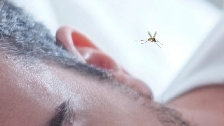 Unveiling the Flight Capabilities of Mosquitoes: From Ground to High-Rise Floors