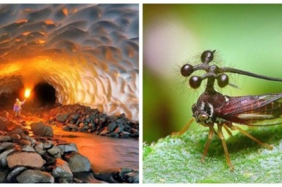 15 Mind-Blowing Images That Will Leave You Speechless!