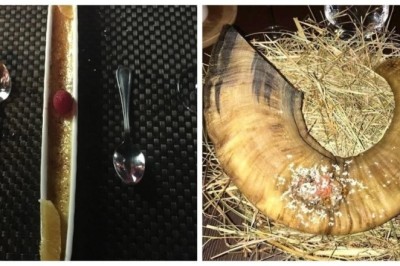 Culinary Creations: 17 Stunning Dishes That Redefine Creativity