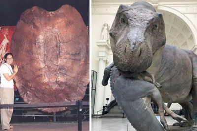 Unbelievable Ancient Discoveries Revealing the Enigmatic Past! (31 Photos)